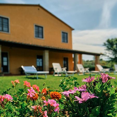 8380 Agriturismo Il Saragiolo Manciano Eksteriør billede