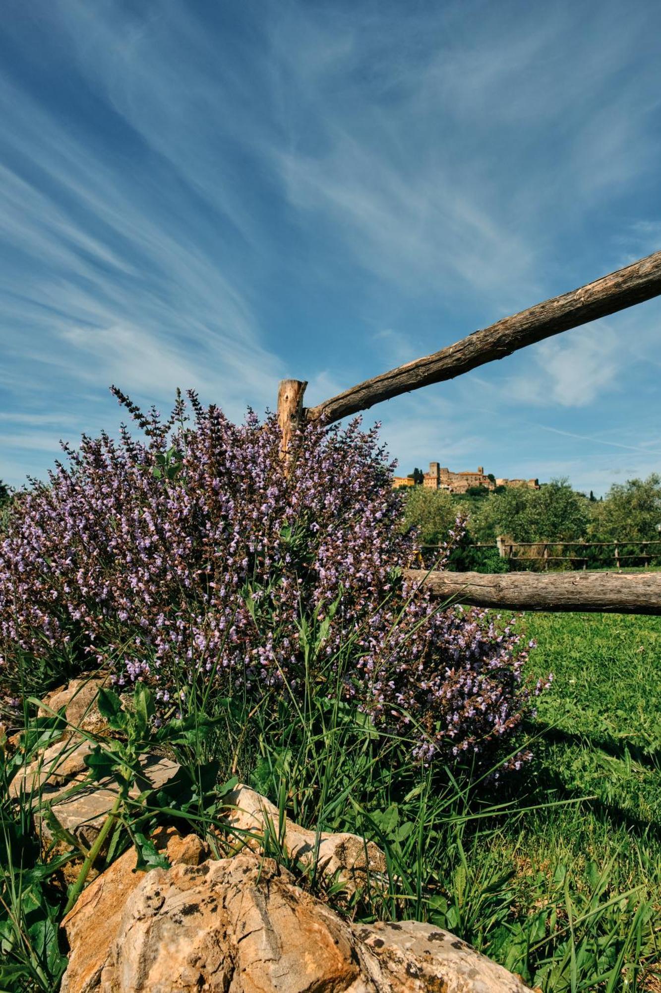 8380 Agriturismo Il Saragiolo Manciano Eksteriør billede