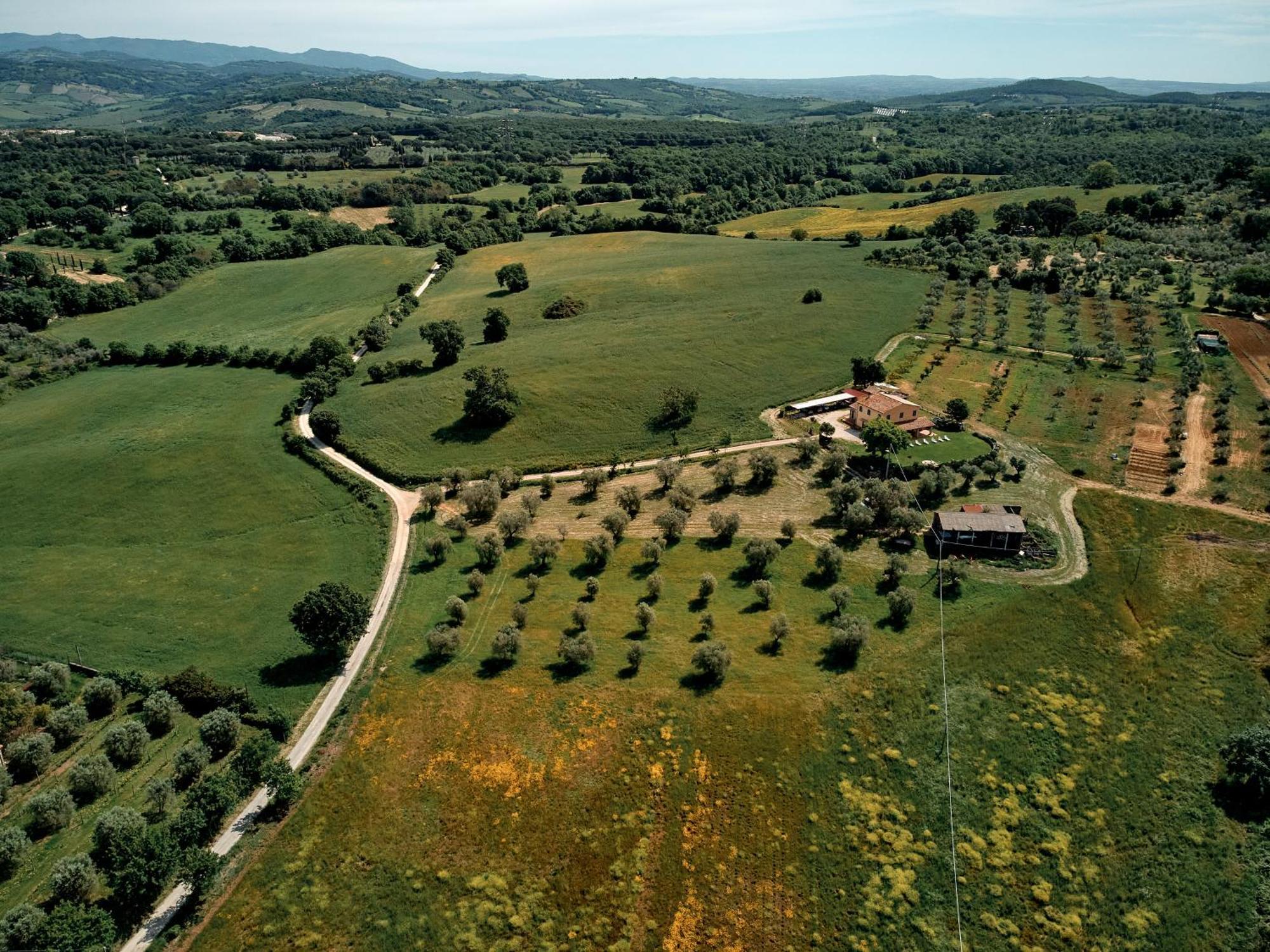 8380 Agriturismo Il Saragiolo Manciano Eksteriør billede