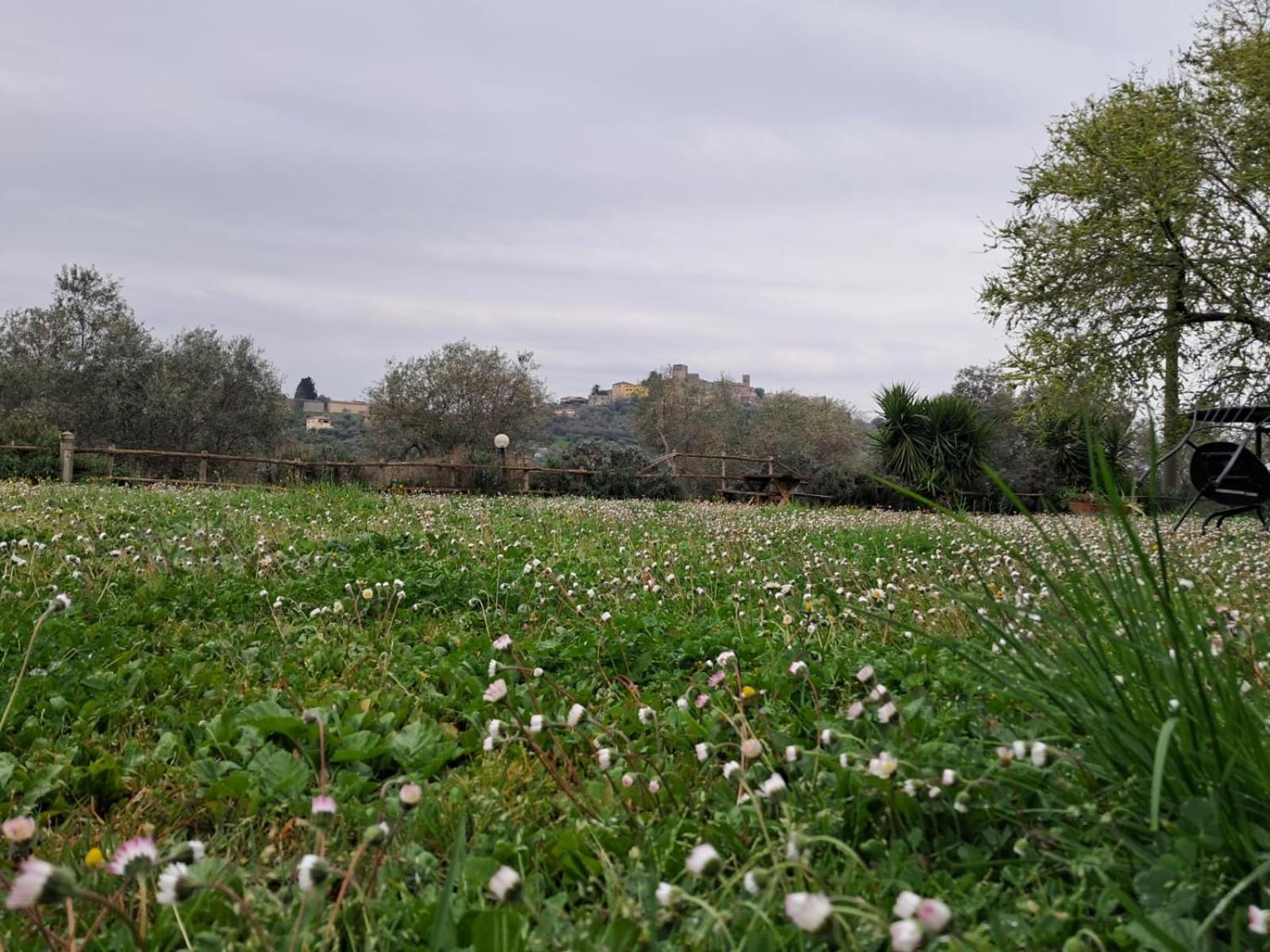 8380 Agriturismo Il Saragiolo Manciano Eksteriør billede